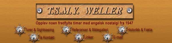 T.S.M.Y Weller